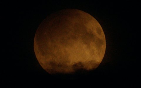 HS-Mofi
