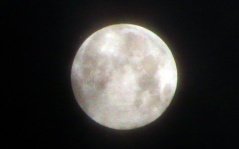 MarsMond