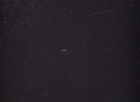 Perseid