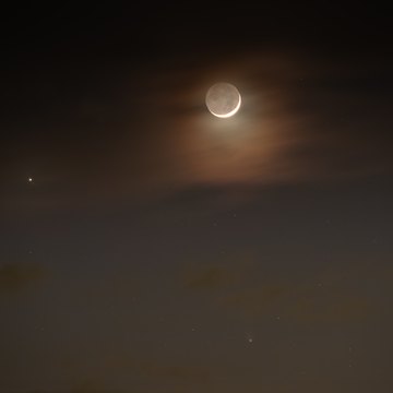 Mond, Pons