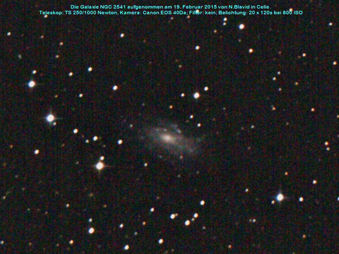 NGC 2541 - eine Spiralgalaxie im Luchs (Lynx)