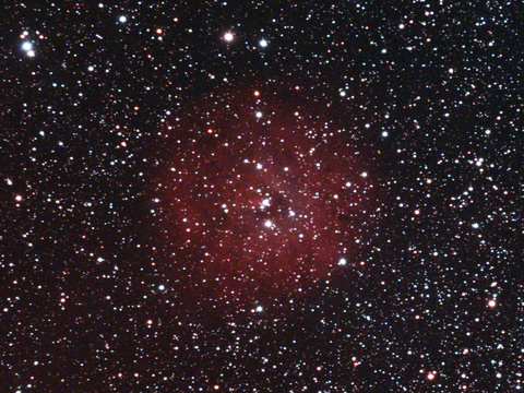 SH2-170 — Der kleine Rosettennebel SH2-170 aufgenommen am 3.11.2024 von Niels. Teleskop: TS EDT 115 f/7, Kamera: ASI 294 McPro mit UHC Filter, Belichtung: 45x240 Sekunden bei Gain 400