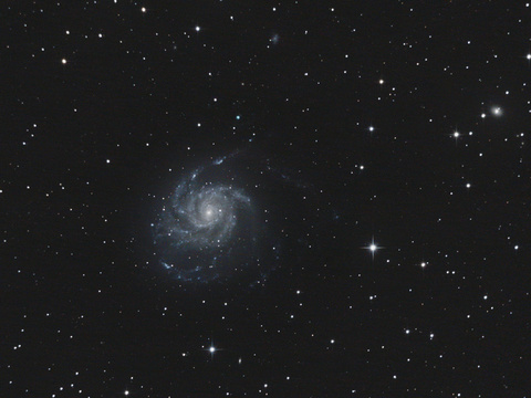 M 101 — Die Feuerradgalaxie M101 aufgenommen von Niels am 22.4.2019. Benutzt wurde der 150/750 Newton auf der iOptron CEM25 und die Canon EOS 77D. Belichtet wurde 50 x 120 Sekunden bei 1600 ISO, kein Guiding.