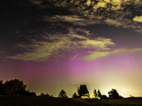 Perseid