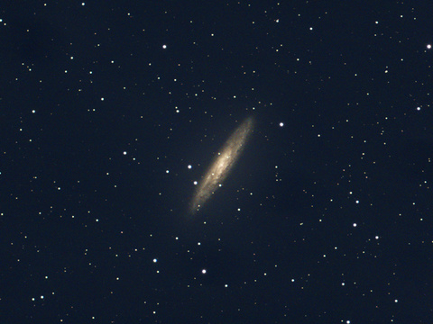 Silber$ — Die Silberdollargalaxie (NGC256) am 29.10.2019. Aufnahme von Niels mit dem Pentax 75/500 SDHF und der ASI294MCPro. Belichtet wurde 50x90 Sekunden bei Gain300 und -10°C Chiptemperatur.