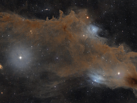 Dark Shark — Der Dunkelnebel LDN1235 ("Dark Shark") mit den beiden Reflexionsnebeln LBN546 und LBN541, sowie der Stern 16Cep und die Galaxie PGC67671 im Sternbild Cepheus. Am 6" f/4 Newton wurde mit der ASI2600MC DUO insgesamt 11h50' belichtet. Aufgenommen im Sternenpark Westhavelland.Autor: RobertLizenz: CC BY-NC-ND 4.0
