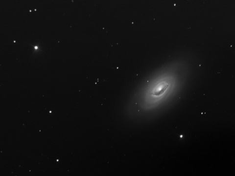 Messier 64 - die Blackeye-Galaxie im Haar der Berenike (Coma Berenices)Autor: RobertLizenz: CC BY-NC-ND 4.0