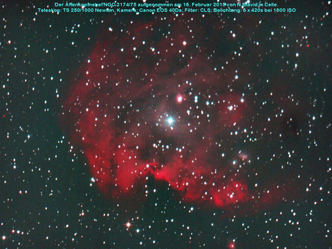 Der Affenkopfnebel - ein Emissionsnebel mit offenem Sternhaufen im Orion