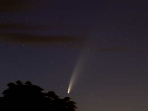Neowise