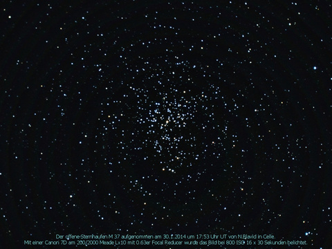 Messier 37 - offener Sternhaufen im Fuhrmann (Auriga)