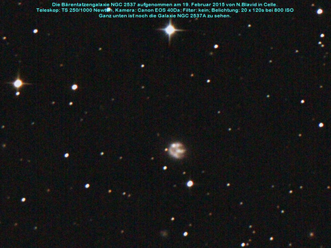 NGC 2537 - die Bärentatzengalaxie im Luchs (Lynx)