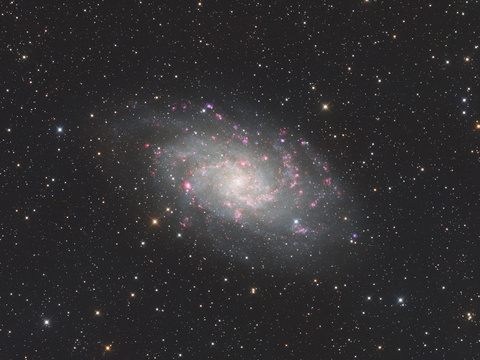 M33 — M33 (Triangulum-Galaxie) mit betonten Sternentstehungsgebieten durch eingemischtes H-alpha/OIII neben RGB. Aufgenommen in Obercrinitz mit der ASI2600MC DUO am 150 mm f/4 Newton, RGB und ALP-T Filter (Ha / OIII, 5nm). Belichtungszeit: ca. 7,5h.Autor: RobertLizenz: CC BY-NC-ND 4.0