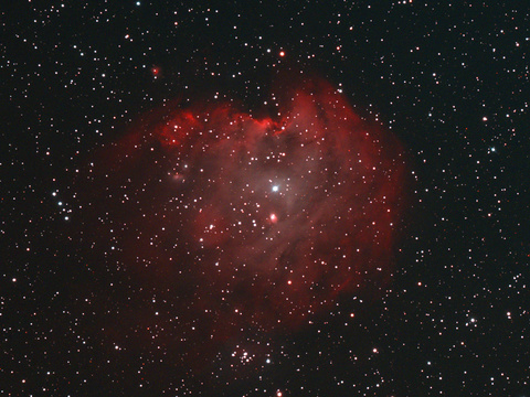 NGC 2174 — Der Affenkopfnebel aufgenommen am 30.11.2024 von Niels. Teleskop: TS EDT 115 f/7, Kamera: ASI 294 McPro mit UHC Filter, Belichtung: 25x180 Sekunden bei Gain 300