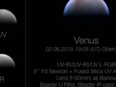 Venus