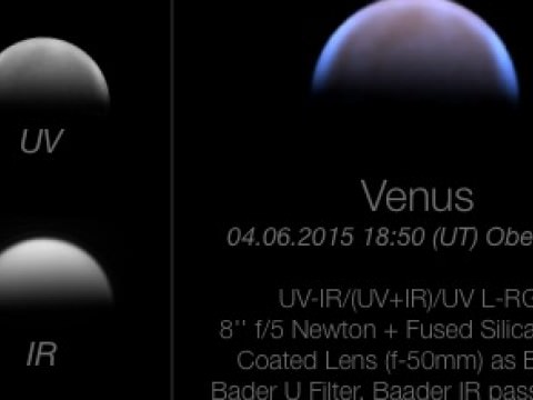 Venus