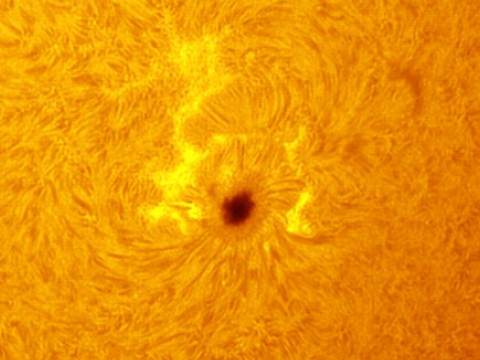 AR2546