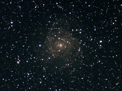 IC 342
