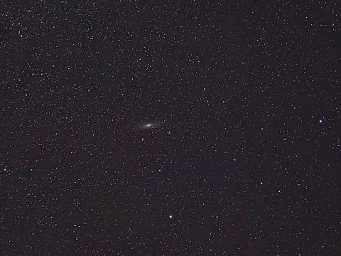 Perseid
