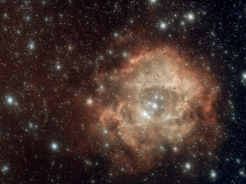 NGC 2237