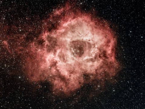 NGC 2237