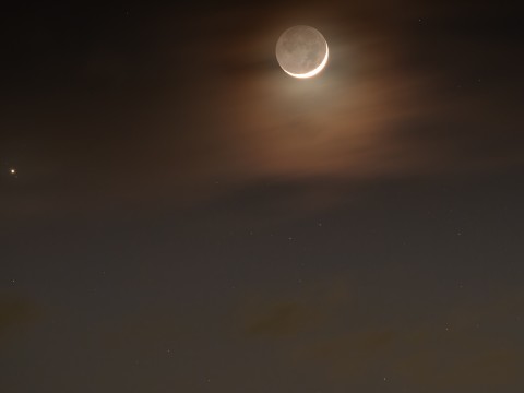 Mond, Pons