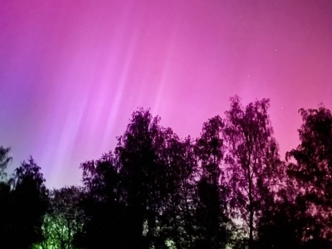 Polarlicht