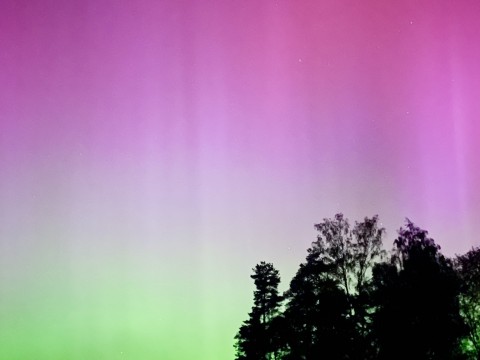 Polarlicht