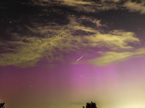 Perseid