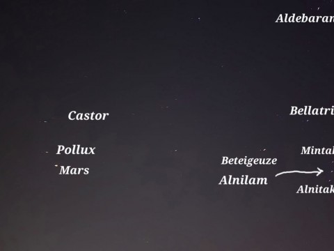 Zwickau21.1 