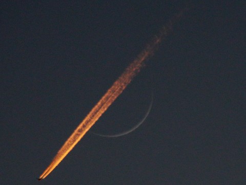 Mond